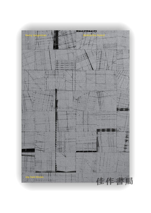 Remy Jungerman: Behind The Forest / 雷米·容格曼：森林之后 商品图0