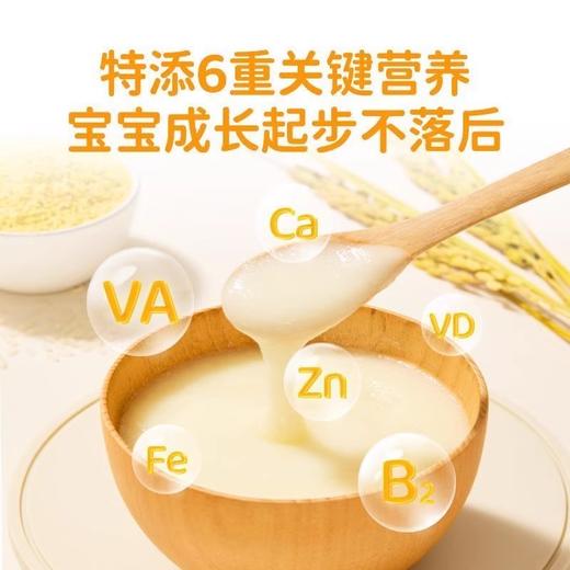 婴享米粉类合集 商品图3