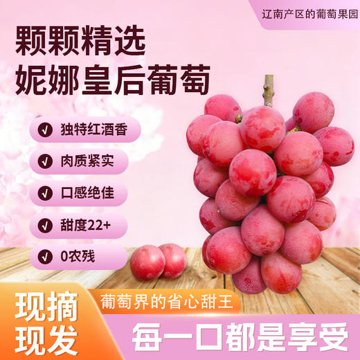 【顺丰快递】辽营黄金产地妮娜皇后葡萄 粒大脆甜  甜度18+ 新鲜水果提子红提 - ABYQ 商品图0