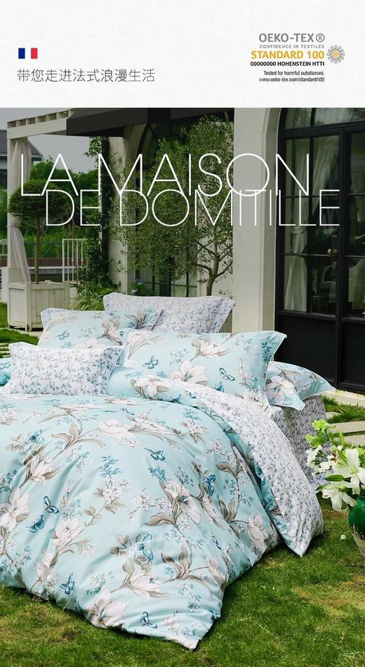 馨亭床品维多利亚套件10250085/10250086 商品图0