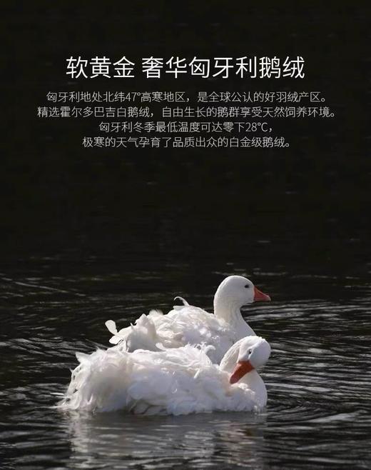 罗卡芙ROYALCOVER兰特森林匈牙利鹅绒春秋被813124632 商品图1