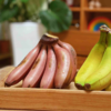 生态香蕉 |  自然催熟 香甜软糯 | 公平贸易 | 基地直发 包邮 * Banana | Fair Trade 商品缩略图4