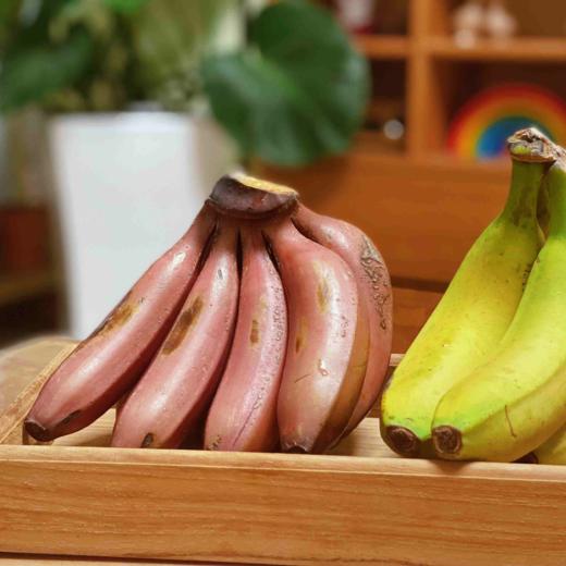 生态香蕉 |  自然催熟 香甜软糯 | 公平贸易 | 基地直发 包邮 * Banana | Fair Trade 商品图4