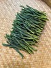 新茶春韵太平猴魁125g 商品缩略图1