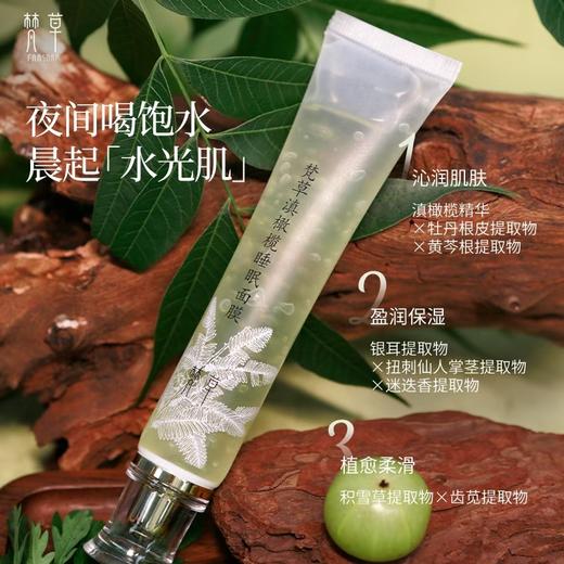 梵草滇橄榄睡眠面膜 50g 商品图0