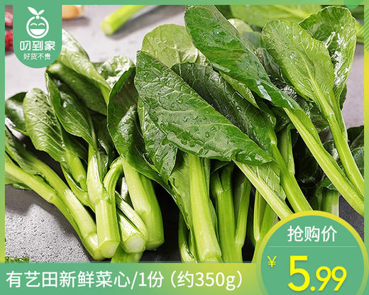 【叼鲜蔬】有艺田新鲜菜心/1份（约350g） 商品图0