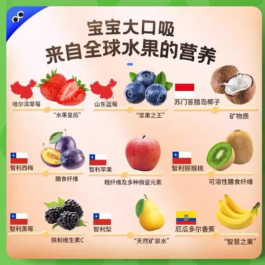 未零柚子汁婴幼儿果泥系列合集 商品图3