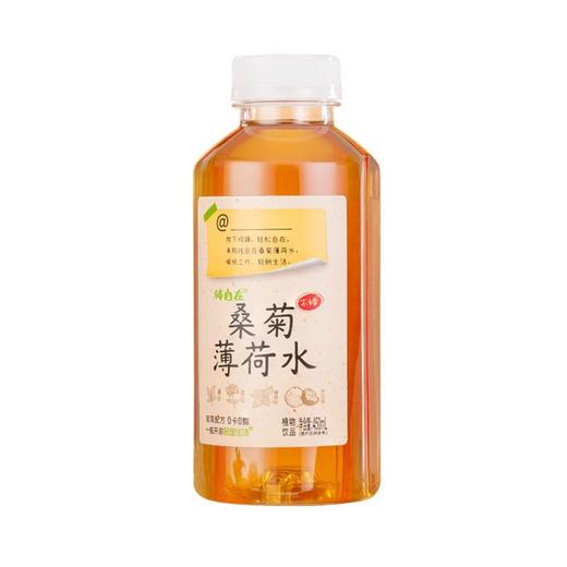 轻朗生活纯自在 桑菊薄荷水植物饮品 450ml/瓶 商品图0