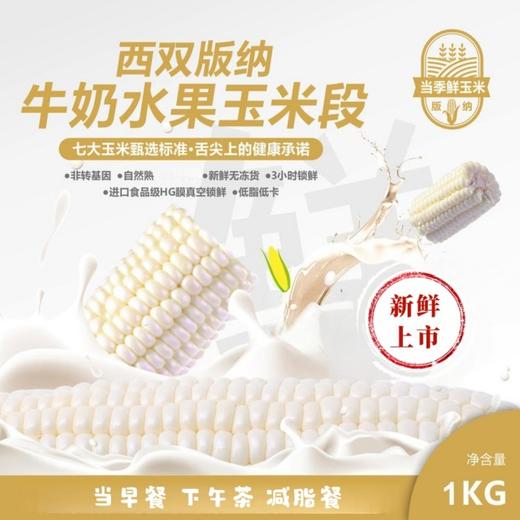 西双版纳圣甜白珠 分段水果玉米 1kg（一袋10~12段左右） 商品图0