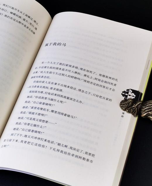 绝版！！《绣满羊角图案的地方：阿勒泰记忆》，平装，小16开，李娟著，新疆人民出版社2012年一版，280页，定价38，售价35元。品相95成。 商品图13