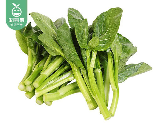 【叼鲜蔬】有艺田新鲜菜心/1份（约350g） 商品图3