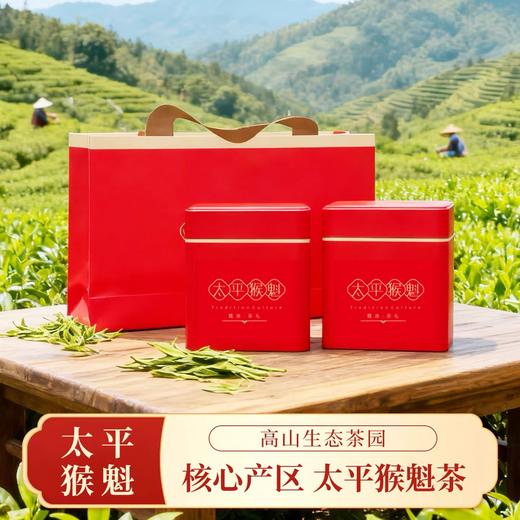 新茶春韵太平猴魁125g 商品图0