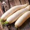 生态白萝卜（吉林，申通或中通） | 合作生产 *   Ecological white radish| Partner Production 商品缩略图3