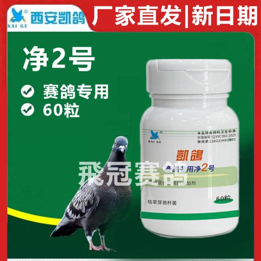 凯鸽净虫2号毛滴虫胶囊60粒净2号赛鸽信鸽子保健日常 商品图0