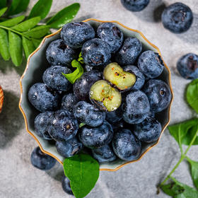 【云南花香蓝莓】顺丰/京东空运  L25正宗花香蓝莓 早期口感酸甜 颗粒饱满 125g/盒 4种规格任选