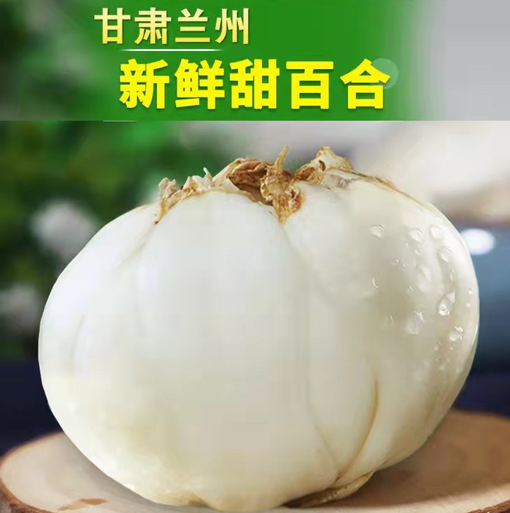 兰州鲜百合 传统农耕生食甘甜清炒煲汤粉糯当季新鲜蔬菜