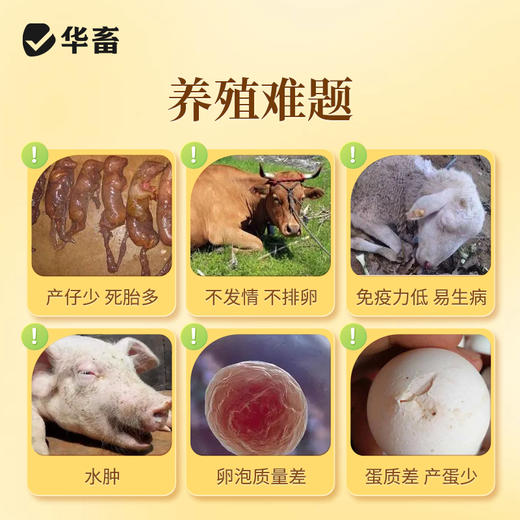 【积分兑换】华畜生育酚VE维生素E可溶粉兽用猪牛羊鸡兔提升繁殖发情促生长 商品图1