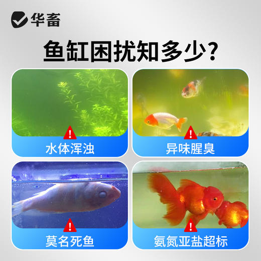 华畜鱼缸清澈剂水族用水质净化免换水特清洁清水清澈澄清剂净水王 商品图1