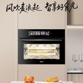 海尔（Haier）蒸烤箱 C50-TCU1