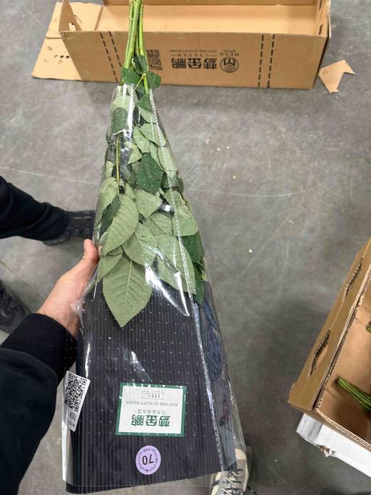 禾韵弗洛伊德 商品图3