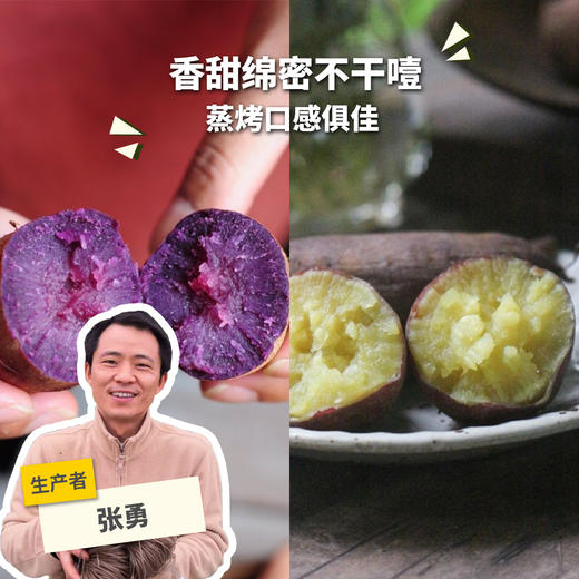 生态紫薯/黄金蜜薯 （圆通）| 合作生产 *Ecological Purple Potato | Partner Production 商品图0