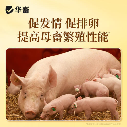 【积分兑换】华畜生育酚VE维生素E可溶粉兽用猪牛羊鸡兔提升繁殖发情促生长 商品图3