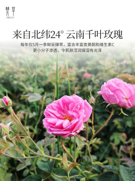 【梵草玫瑰花水】 商品图1