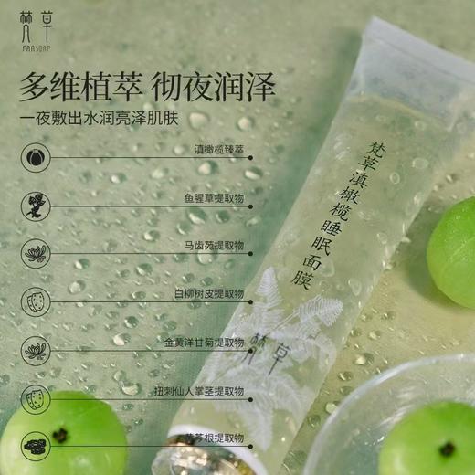 梵草滇橄榄睡眠面膜 50g 商品图2