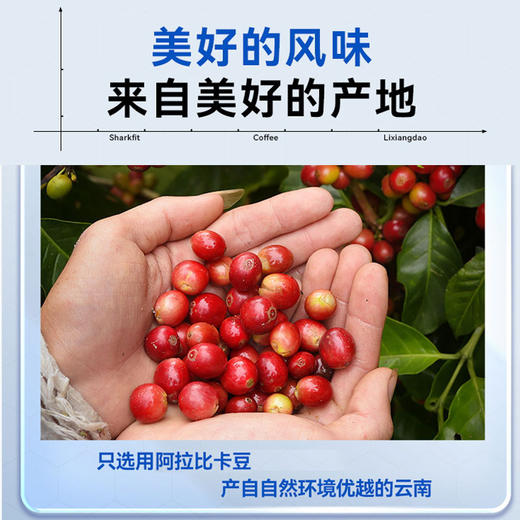 【买2送2，到手2盒】鲨鱼菲特 理象岛益生菌黑咖啡 商品图5