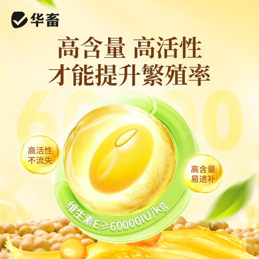 【积分兑换】华畜生育酚VE维生素E可溶粉兽用猪牛羊鸡兔提升繁殖发情促生长 商品图2