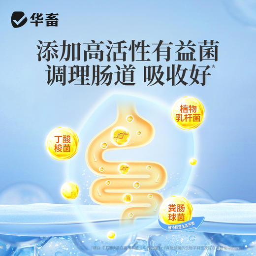 华畜 速长肽 吃得多 消耗少 吸收好 长得快 体型好 更压秤 商品图3