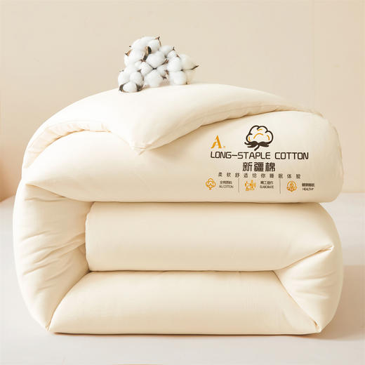 【A类母婴级】纯棉新疆棉花被冬季全棉被子学生宿舍家用保暖春秋棉絮褥加厚被芯 商品图4