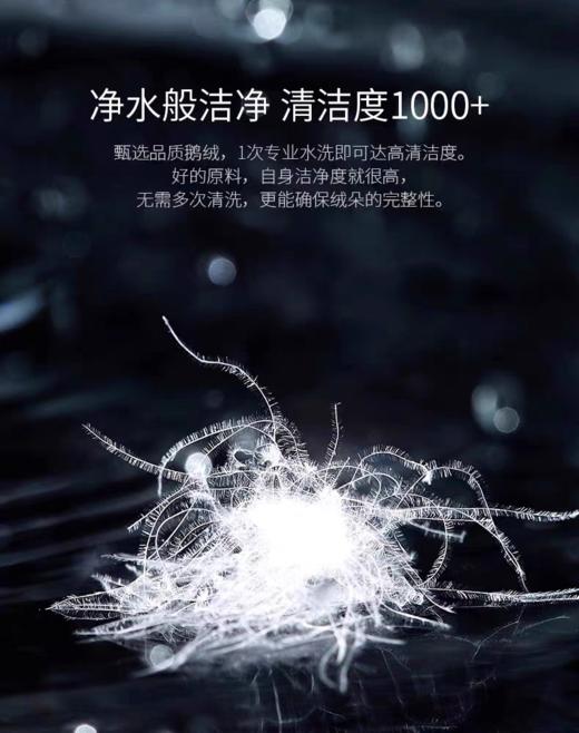 罗卡芙ROYALCOVER兰特森林匈牙利鹅绒春秋被813124632 商品图2