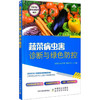 蔬菜病虫害诊断与绿色防控 商品缩略图0