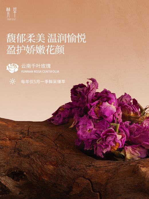 【梵草玫瑰鲜花膏】改善肌肤干燥 令肌肤水润嫩滑 商品图1