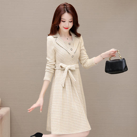 QYM 23002-Y仿貂绒连衣裙厚款腰带收腰中长款时尚A字裙 商品图1