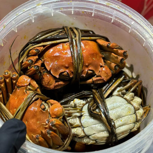【下单后48小时发货】王鲜记 花雕熟醉蟹大盲桶 1桶装 约6-8只左右/桶，熟制蟹 酒精过敏者慎食。食用后驾车可能造成酒驾，请谨慎对待！ 商品图5