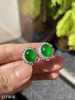 老坑玻璃种帝王绿蛋面耳钉【5171610】具体价格微信咨询 商品缩略图3