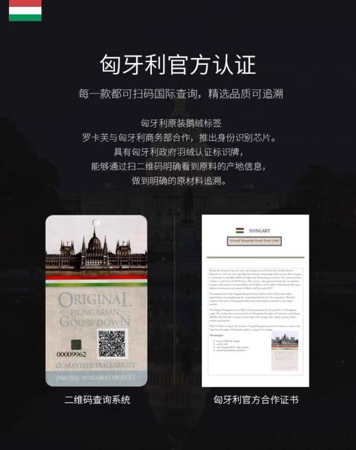 罗卡芙ROYALCOVER兰特森林匈牙利鹅绒春秋被813124632 商品图3