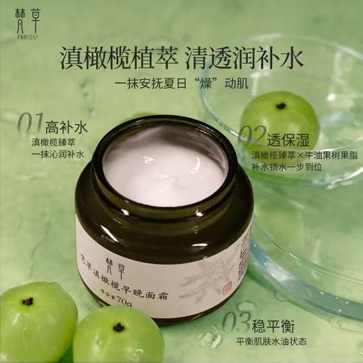 【净无尘垢】滇橄榄面霜 水润质地 ，补充肌肤水分，让肌肤莹润细腻 商品图1