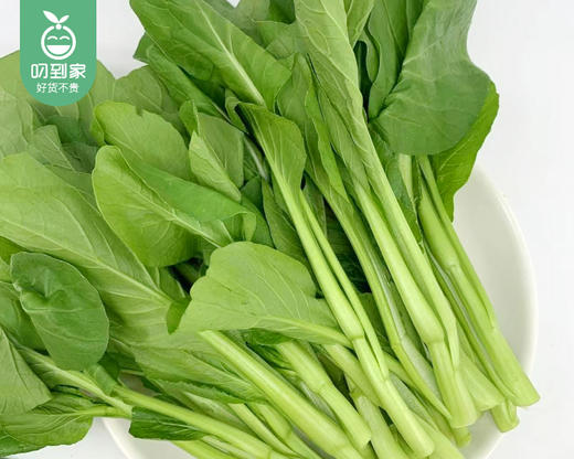 【叼鲜蔬】有艺田新鲜菜心/1份（约350g） 商品图4