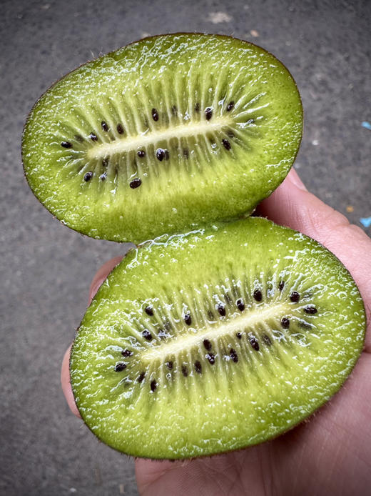 塔顿品种猕猴桃终于来啦  拿到就能吃无需等，甜！！塔顿是个品种，就像斯凯拉雷之于金车，猕猴桃中王一样的存在！高原大山原生态，果肉细嫩多浆，满满的VC，清甜爽口 清香化汁，口感是真的好！ 商品图1