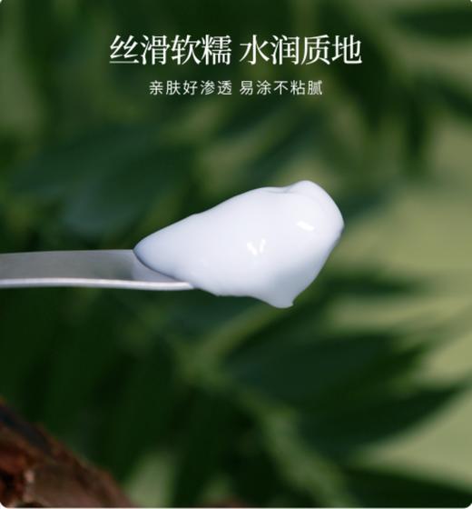 【净无尘垢】滇橄榄面霜 水润质地 ，补充肌肤水分，让肌肤莹润细腻 商品图2