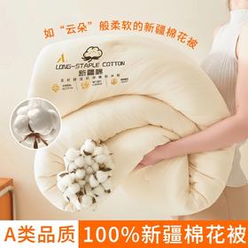 【A类母婴级】纯棉新疆棉花被冬季全棉被子学生宿舍家用保暖春秋棉絮褥加厚被芯