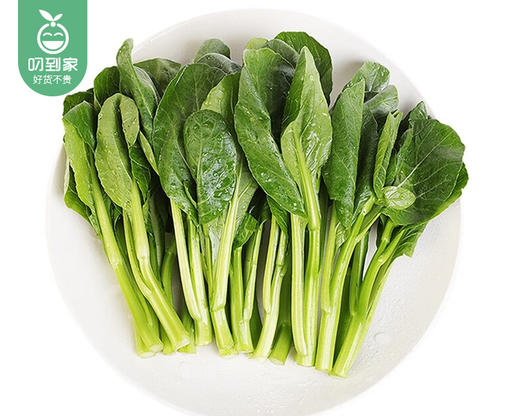 【叼鲜蔬】有艺田新鲜菜心/1份（约350g） 商品图2