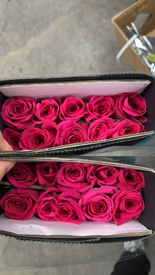 禾韵弗洛伊德 商品图2