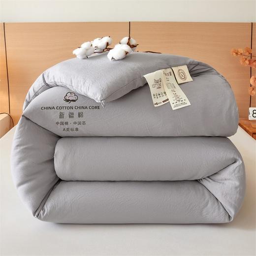 【A类母婴级】纯棉新疆棉花被冬季全棉被子学生宿舍家用保暖春秋棉絮褥加厚被芯 商品图5