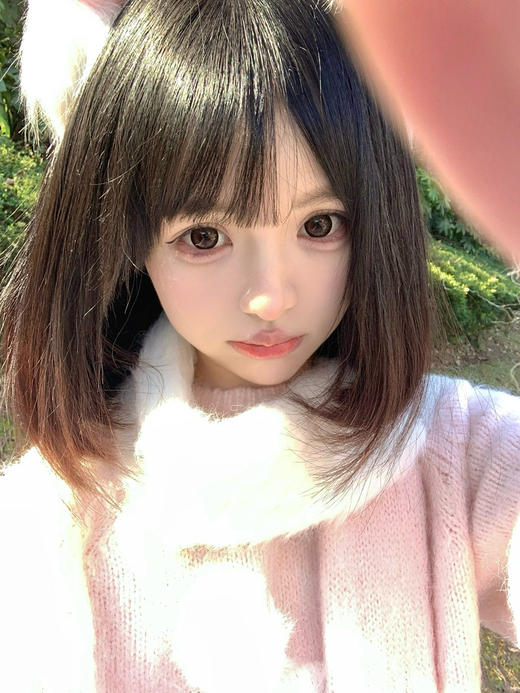 AROMI秋田棕（佩戴直径：14.5mm) 商品图2