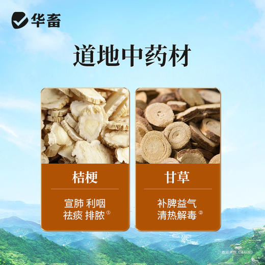 华畜痢头翁 清热解毒 化湿止痢 肠炎腹泻鸡鸭鹅通用 商品图2