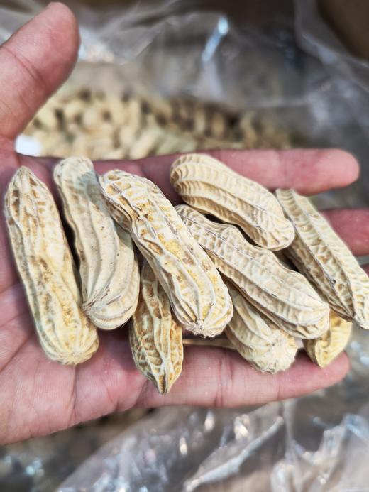 云南七彩熟花生  颗粒饱满大粒 香酥脆~壳薄易剥 商品图1